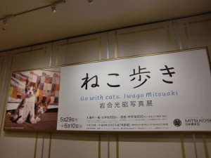 CIMG6648