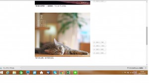 ミミー壁紙