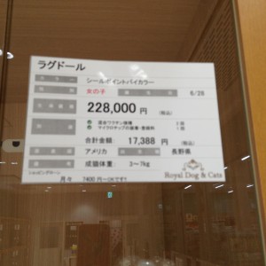 IMG_2083[1]