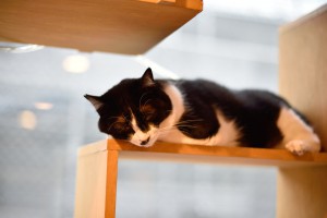 s002DSC_3845
