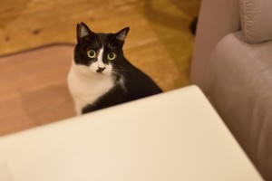 s018DSC_3286