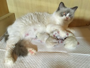 IMG_3030[1]