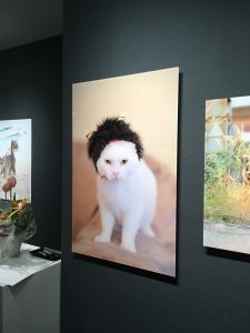 IMG_5011[1]