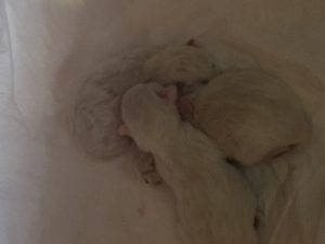 IMG_5094[1]