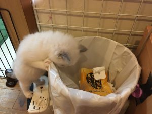IMG_5501[1]
