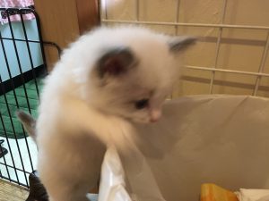 IMG_5503[1]