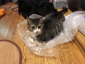 IMG_5885[1]