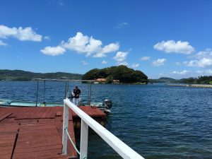 IMG_6362[1]