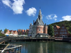 IMG_6399[1]